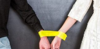 Le Créateur – Complet