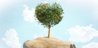 Rester dans votre Incarnation ou la Quitter ?