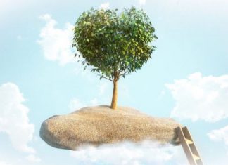 Rester dans votre Incarnation ou la Quitter ?