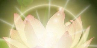 Mahel’Dji : La Lumière