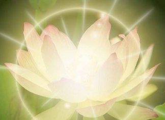 Mahel’Dji : La Lumière