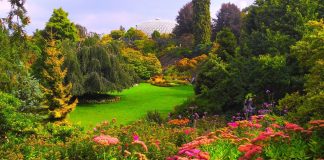 Ce qui vous attend demain