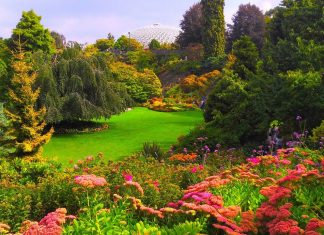 Ce qui vous attend demain