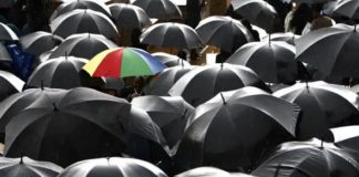 Le Créateur – Se Fondre