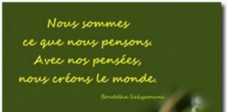 Le Créateur – Vous Êtes…