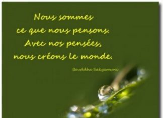 Le Créateur – Vous Êtes…