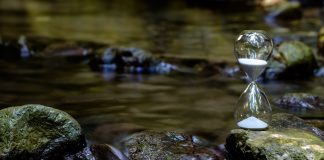 La vie t’oblige à découvrir la patience