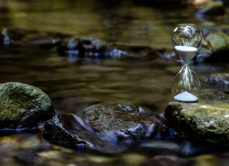 La vie t’oblige à découvrir la patience