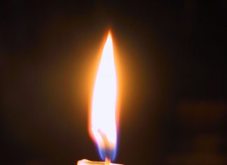 Le Créateur – Attendre pour briller