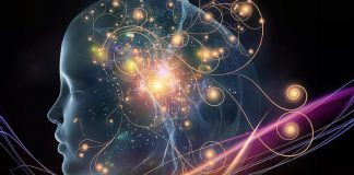 Vous êtes en Conscience