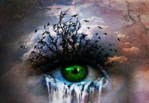 Guidances aux Êtres en Conscience #57