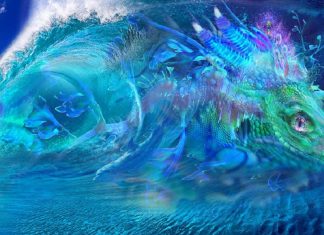 La Galaxie des Elohim Solaires de l’âge d’or