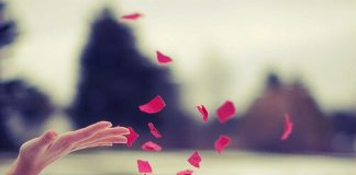 Le Créateur – Lâcher prise pour s’épanouir