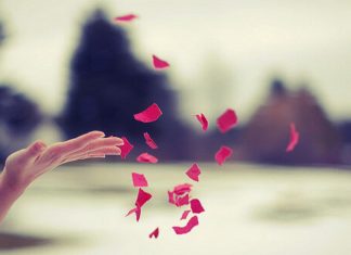 Le Créateur – Lâcher prise pour s’épanouir