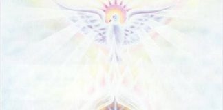 LADY CRISTAL – Si vous cherchez sans cesse votre place, vous ne laissez pas cette place vous trouver