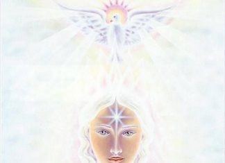 LADY CRISTAL – Si vous cherchez sans cesse votre place, vous ne laissez pas cette place vous trouver