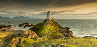 Message aux Travailleurs de Lumière – 8 Octobre 2021