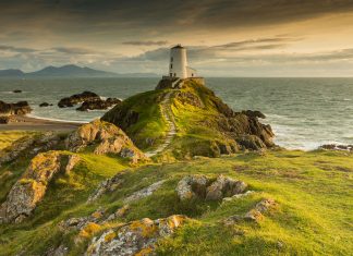 Message aux Travailleurs de Lumière – 8 Octobre 2021