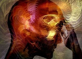 L’Interaction des Empathes et des Narcissistes