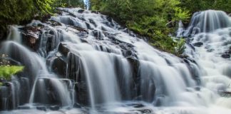 Dans Un Seul Courant