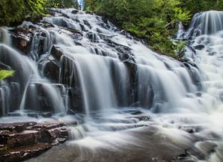 Dans Un Seul Courant