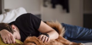 Le Créateur – Retour à la Terre