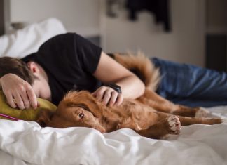 Le Créateur – Retour à la Terre