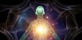 Activation de votre Signature Cellulaire