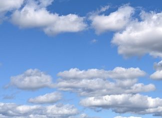 La Paix au Milieu de Forces Contradictoires