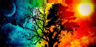 L’Équinoxe Crée l’Équilibre