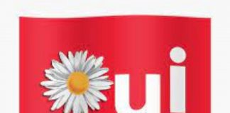 Le Créateur – OUI !