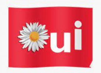 Le Créateur – OUI !