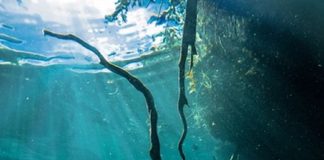 Message aux Travailleurs de Lumière – 15 octobre 2021