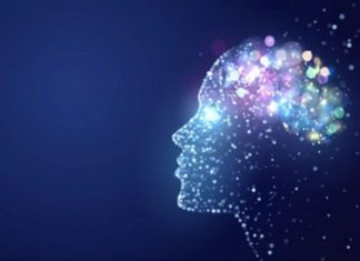 Le Créateur – Compréhension