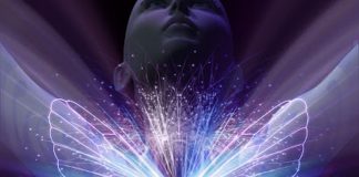 Le Créateur – Votre Âme en Mouvement