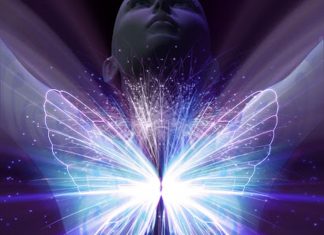 Le Créateur – Votre Âme en Mouvement