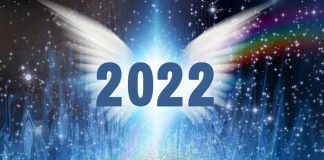 La Fédération Galactique À Propos de 2022