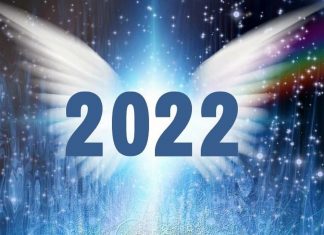 La Fédération Galactique À Propos de 2022