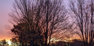 Regardez Sous la Couverture que Vous avez Projetée