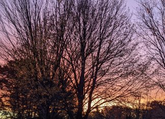 Regardez Sous la Couverture que Vous avez Projetée