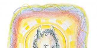 La Prophétie du Troupeau Arc-en-ciel