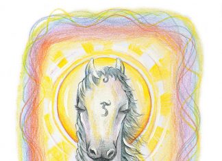 La Prophétie du Troupeau Arc-en-ciel