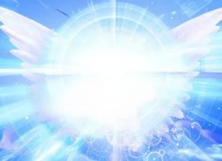 Hakann : L’humanité ne fait qu’un