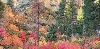 Vivez-vous dans la « réalité » ?