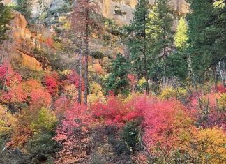 Vivez-vous dans la « réalité » ?