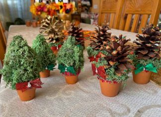 Joyeux temps des Fêtes – Ajoutez de l’amour