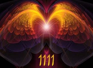 La Passerelle 11:11 vers une Conscience Supérieure