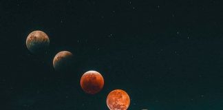 Le Créateur – Votre Perspective