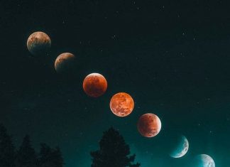 Le Créateur – Votre Perspective