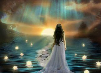 Message aux travailleurs de lumière